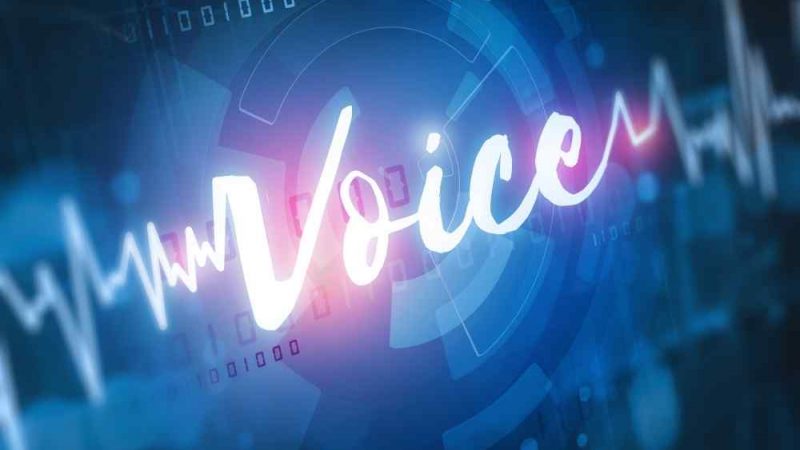 What is Voice Biometrics and Advantages of Voice Biometrics