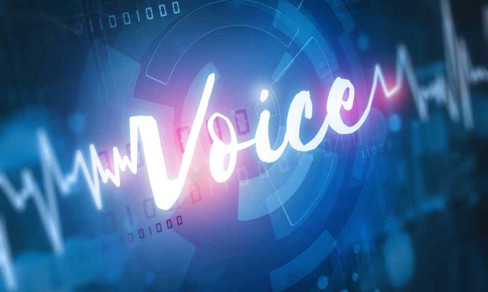What is Voice Biometrics and Advantages of Voice Biometrics