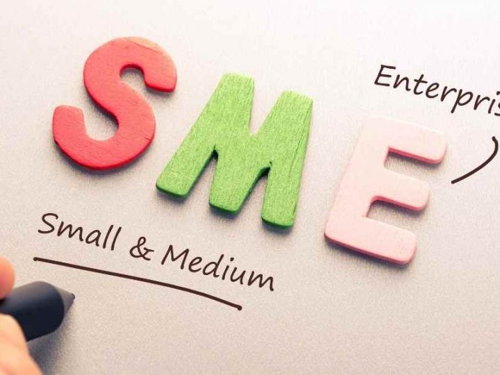 What is an SME in a Company