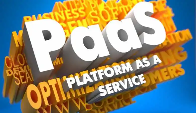Who Uses (PaaS) to Improve Their Operational Performance?