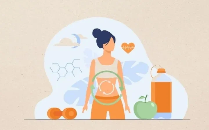 How Dandelion Root May Influence Bile Production and Fat Digestion?